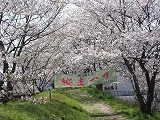 DSC05256.jpg