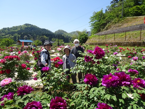 DSC04417.JPG